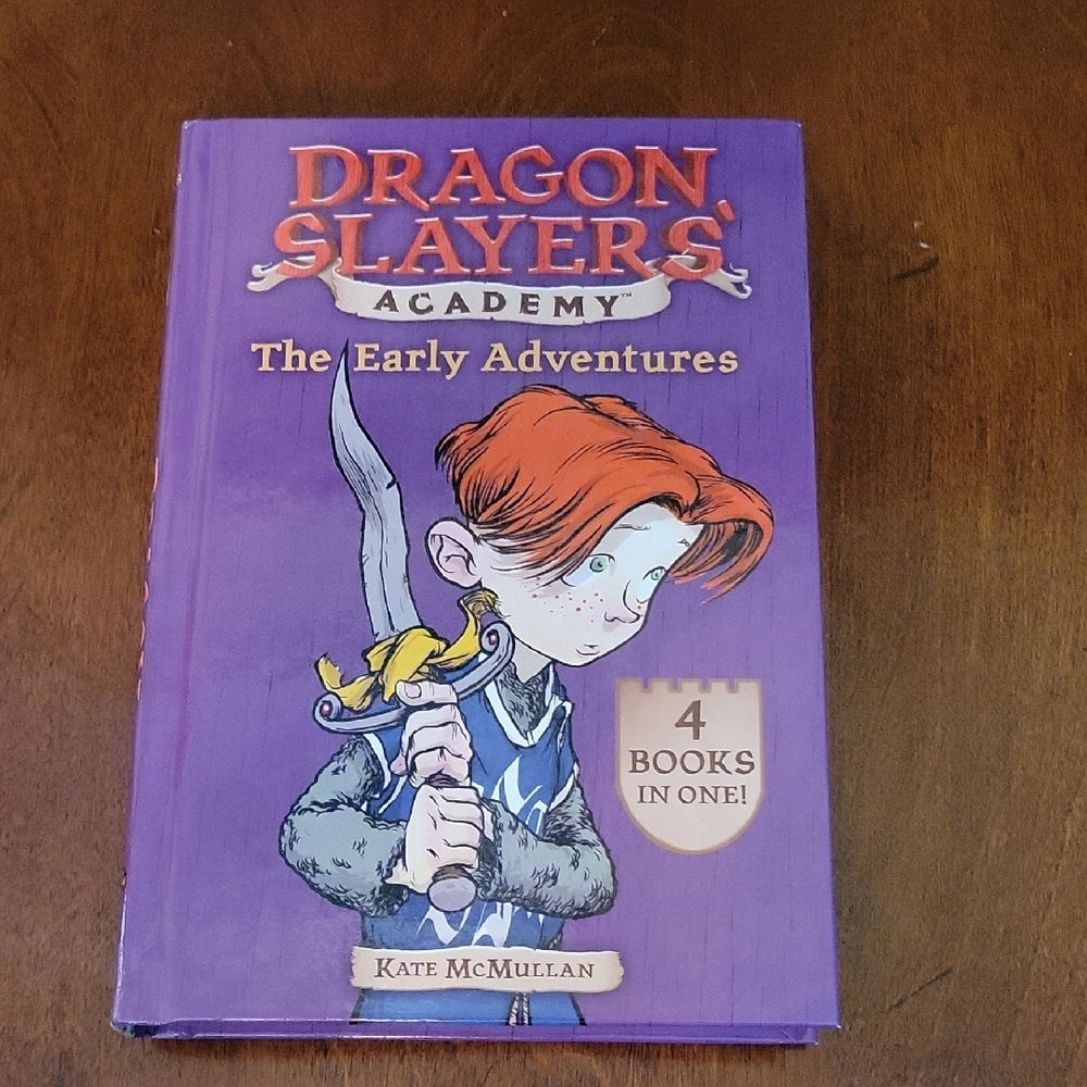 Dragon Slayers Academy Book